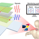 Image for article titled A Kirigami-Inspired Sensor Could Help Stop Back Damage From Computer Work